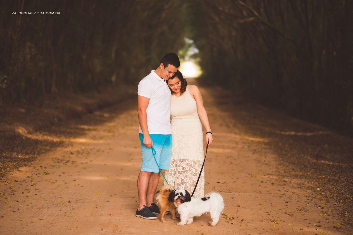 Ensaio Pre Wedding Estela e José em Holambra