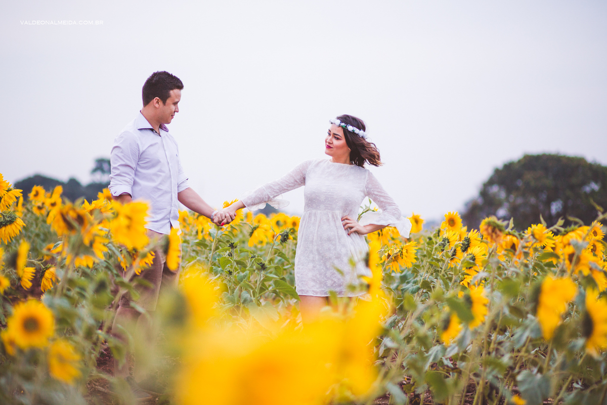 Ensaio Pre Wedding Estela e José em Holambra