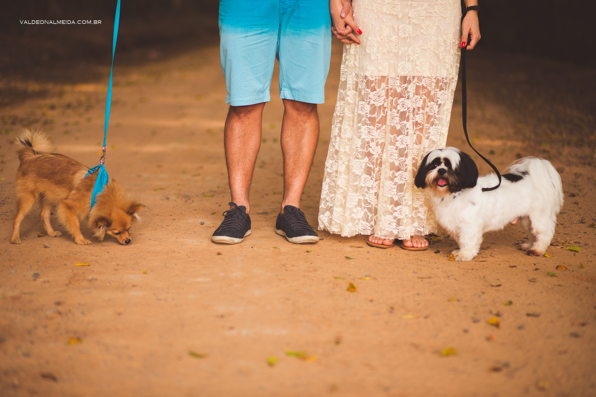 Ensaio Pre Wedding Estela e José em Holambra