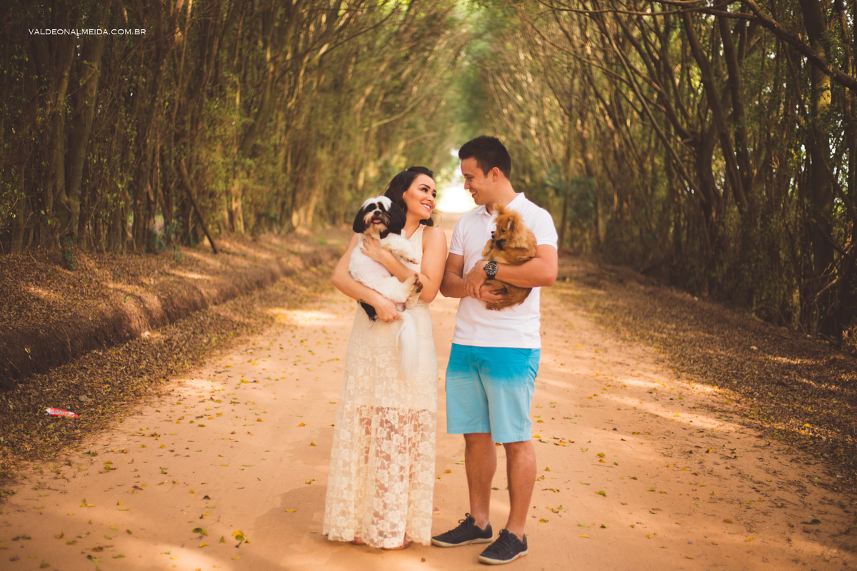Ensaio Pre Wedding Estela e José em Holambra