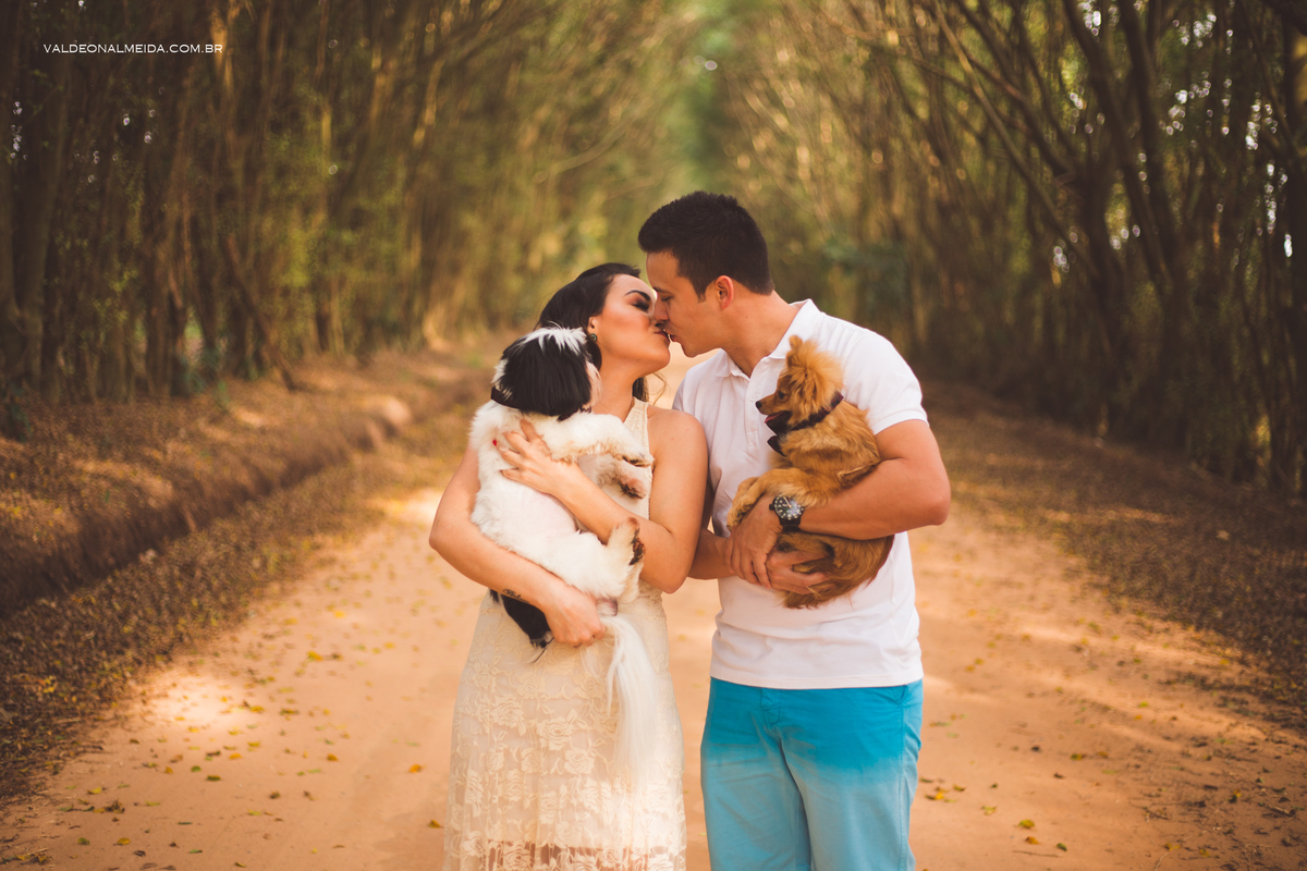 Ensaio Pre Wedding Estela e José em Holambra