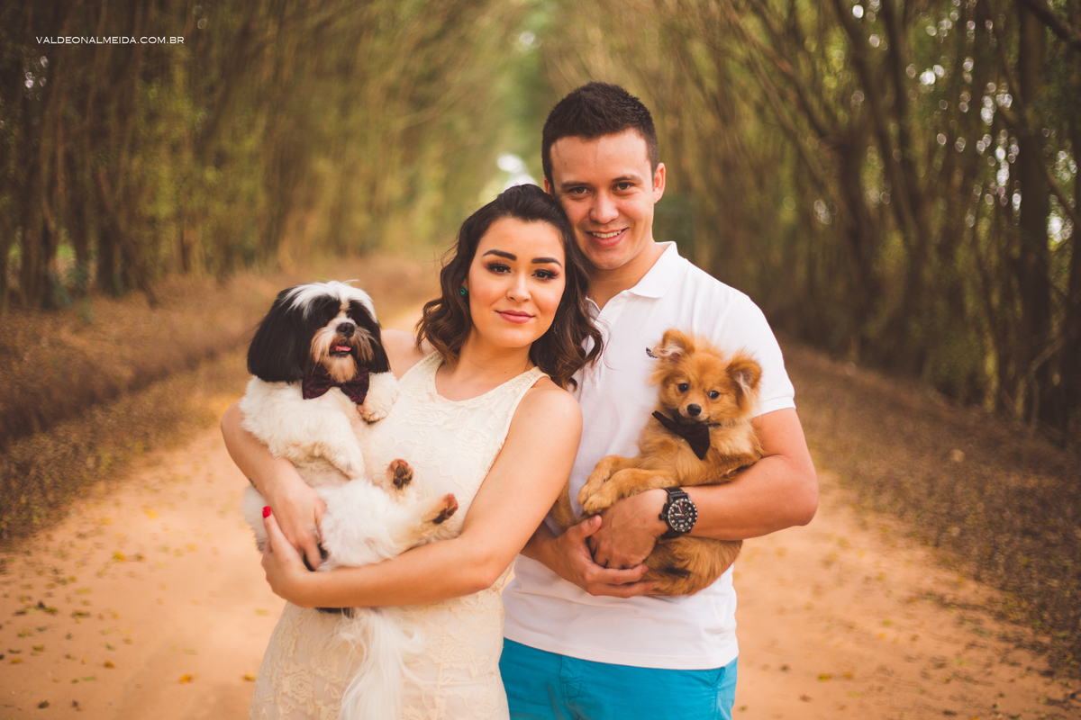 Ensaio Pre Wedding Estela e José em Holambra