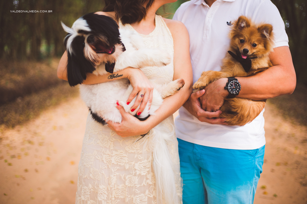 Ensaio Pre Wedding Estela e José em Holambra