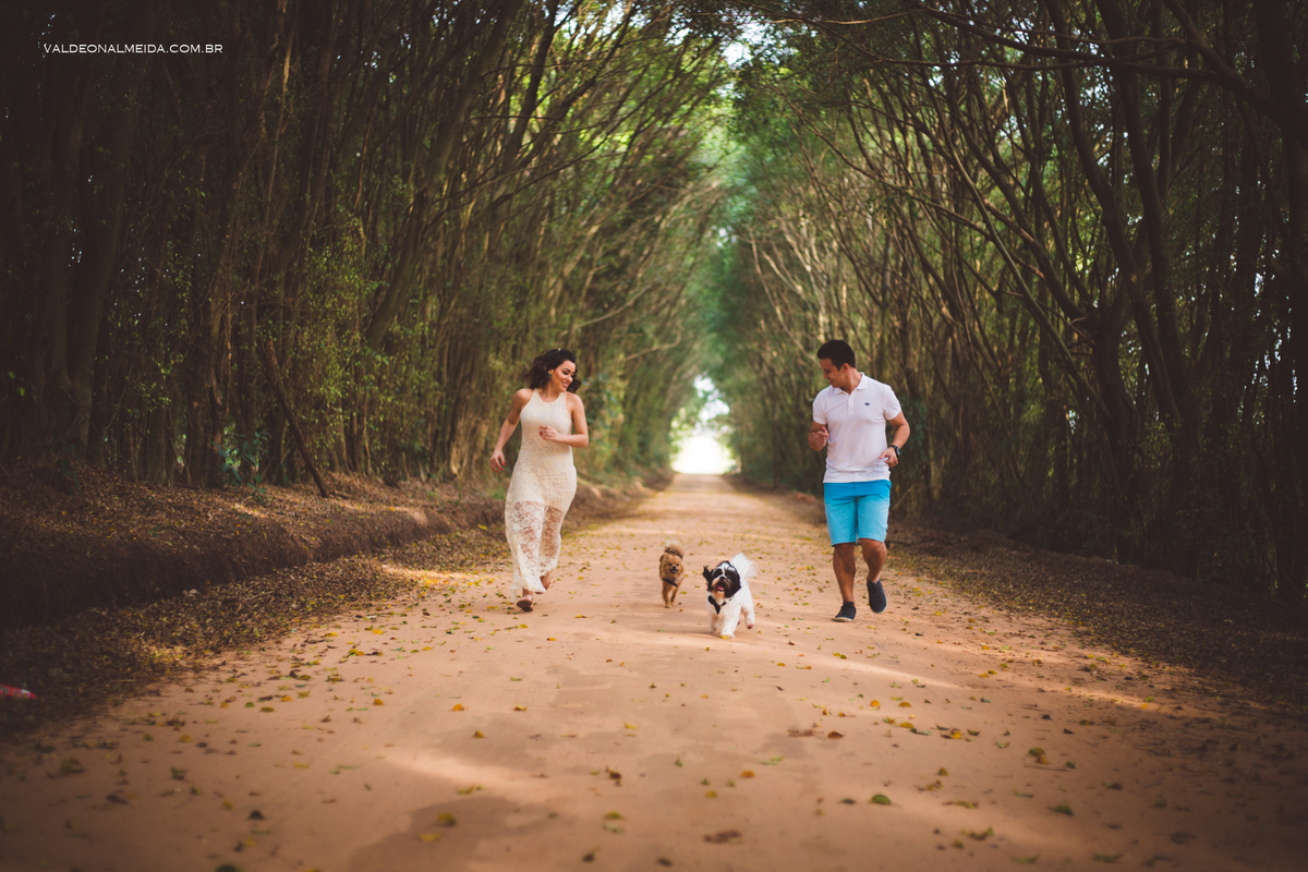 Ensaio Pre Wedding Estela e José em Holambra