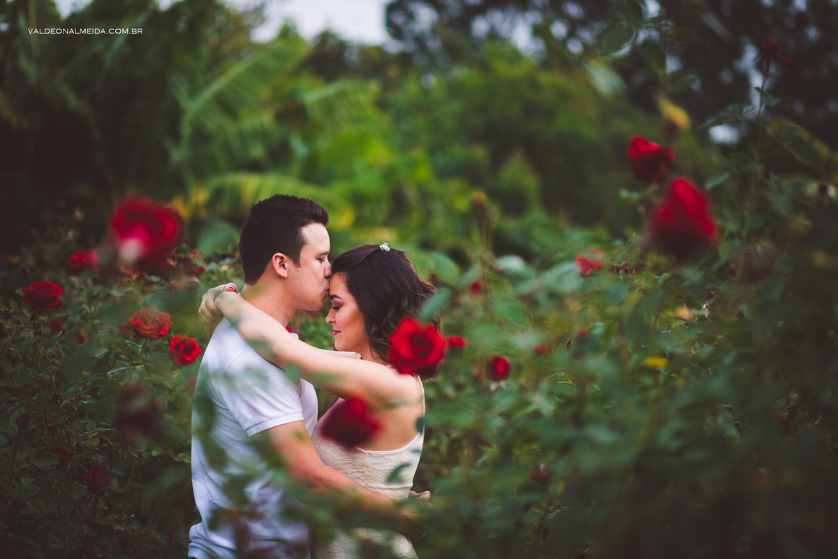 Ensaio Pre Wedding Estela e José em Holambra