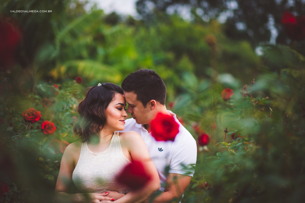 Ensaio Pre Wedding Estela e José em Holambra