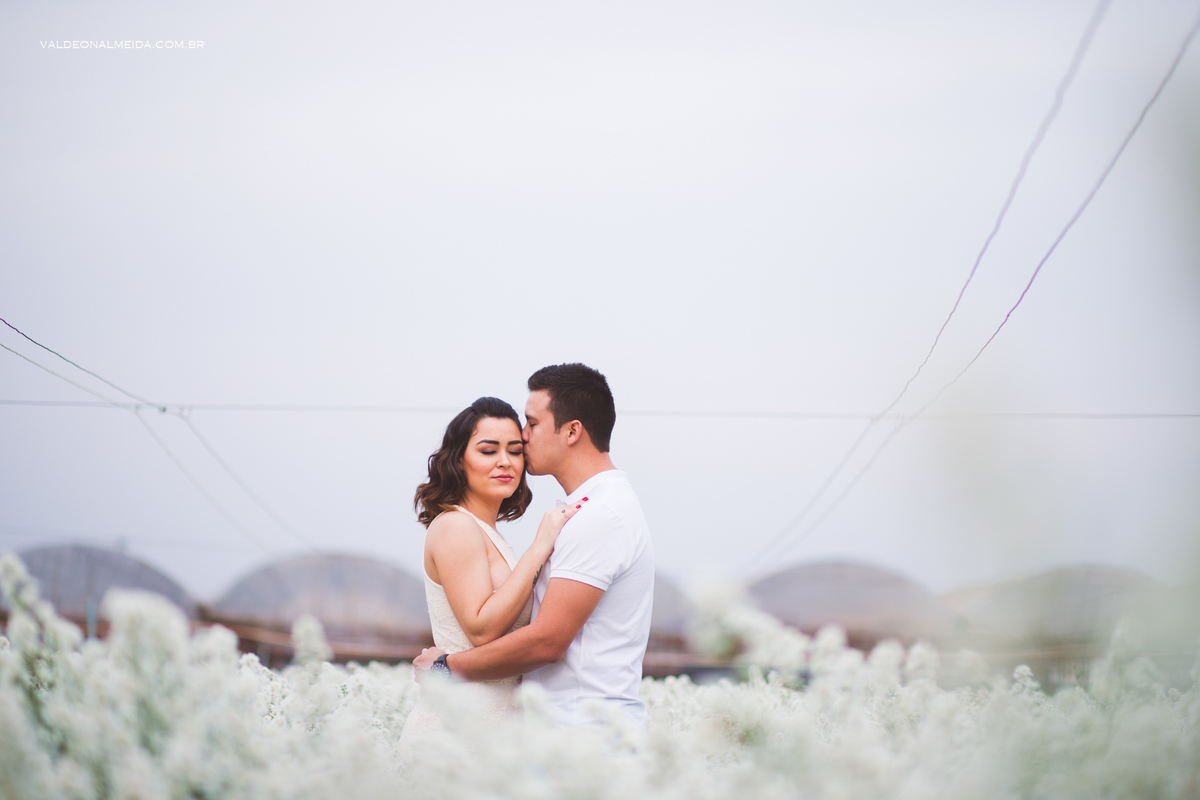 Ensaio Pre Wedding Estela e José em Holambra
