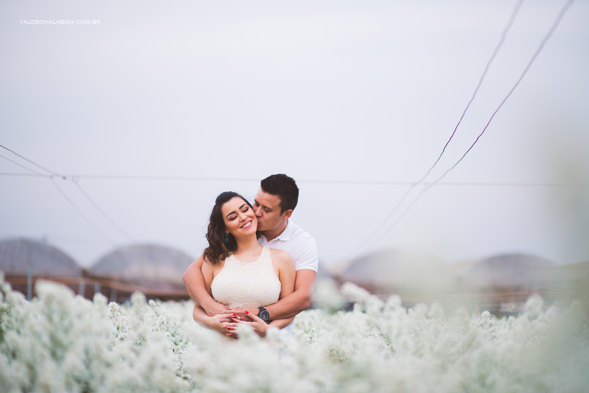 Ensaio Pre Wedding Estela e José em Holambra