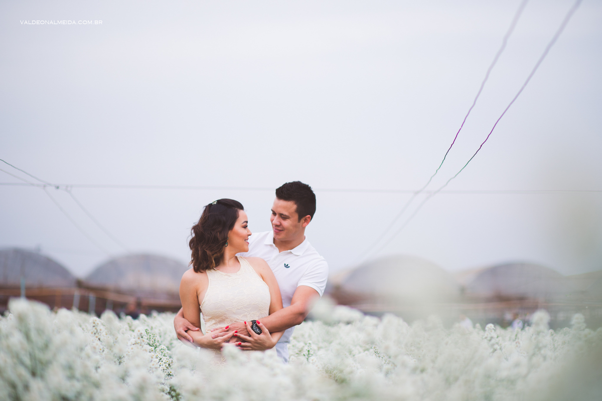 Ensaio Pre Wedding Estela e José em Holambra