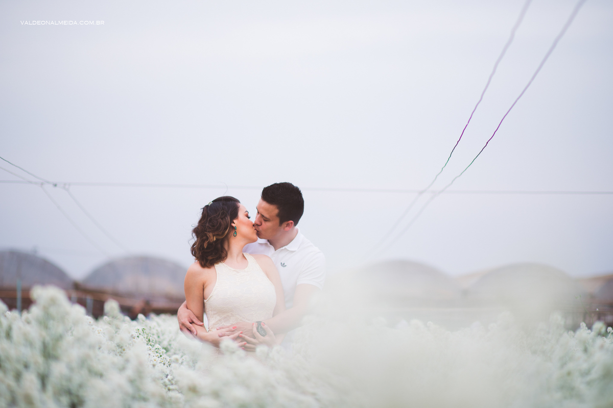 Ensaio Pre Wedding Estela e José em Holambra