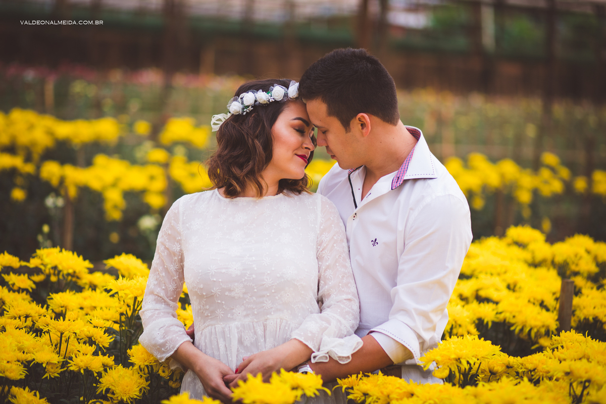 Ensaio Pre Wedding Estela e José em Holambra