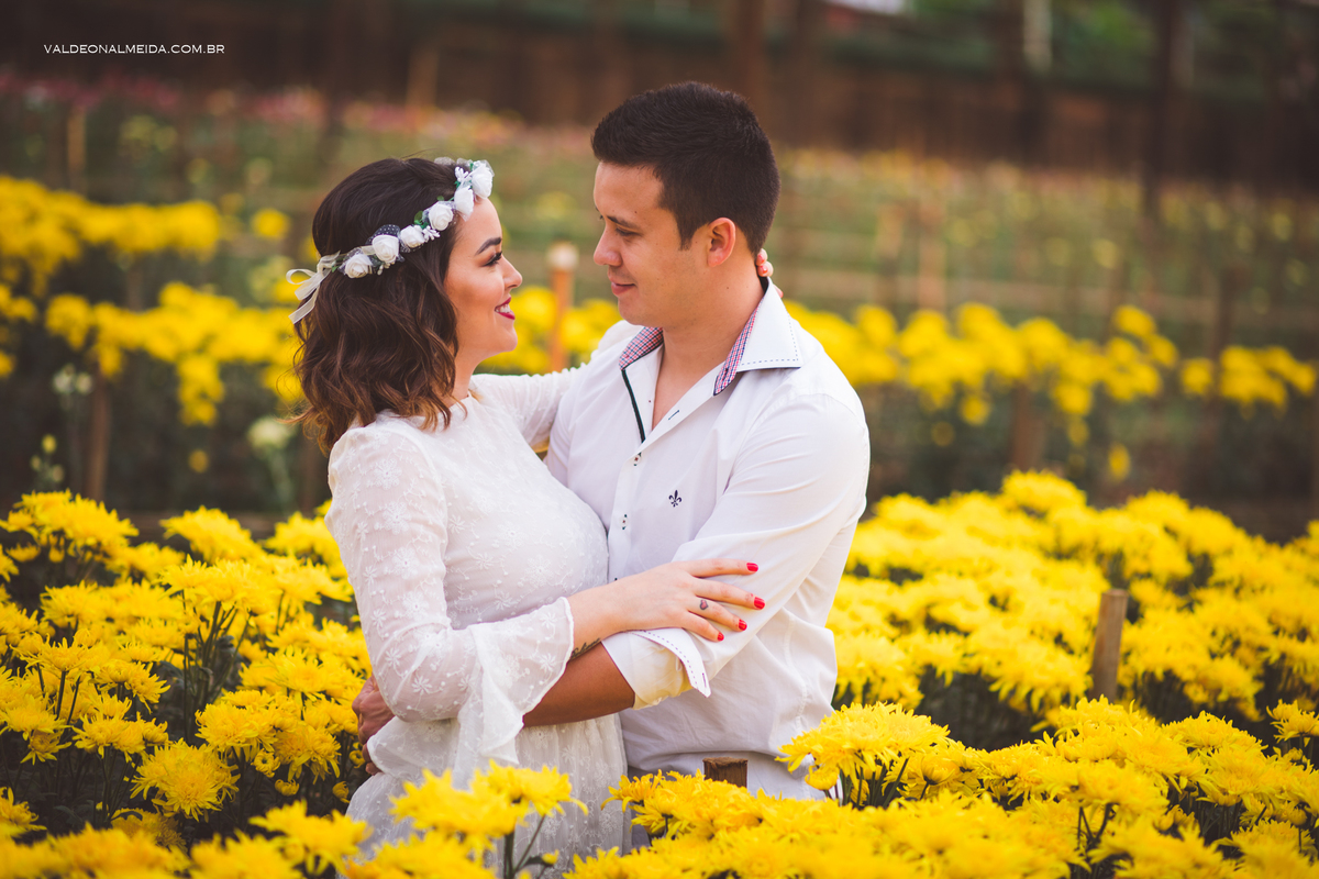Ensaio Pre Wedding Estela e José em Holambra