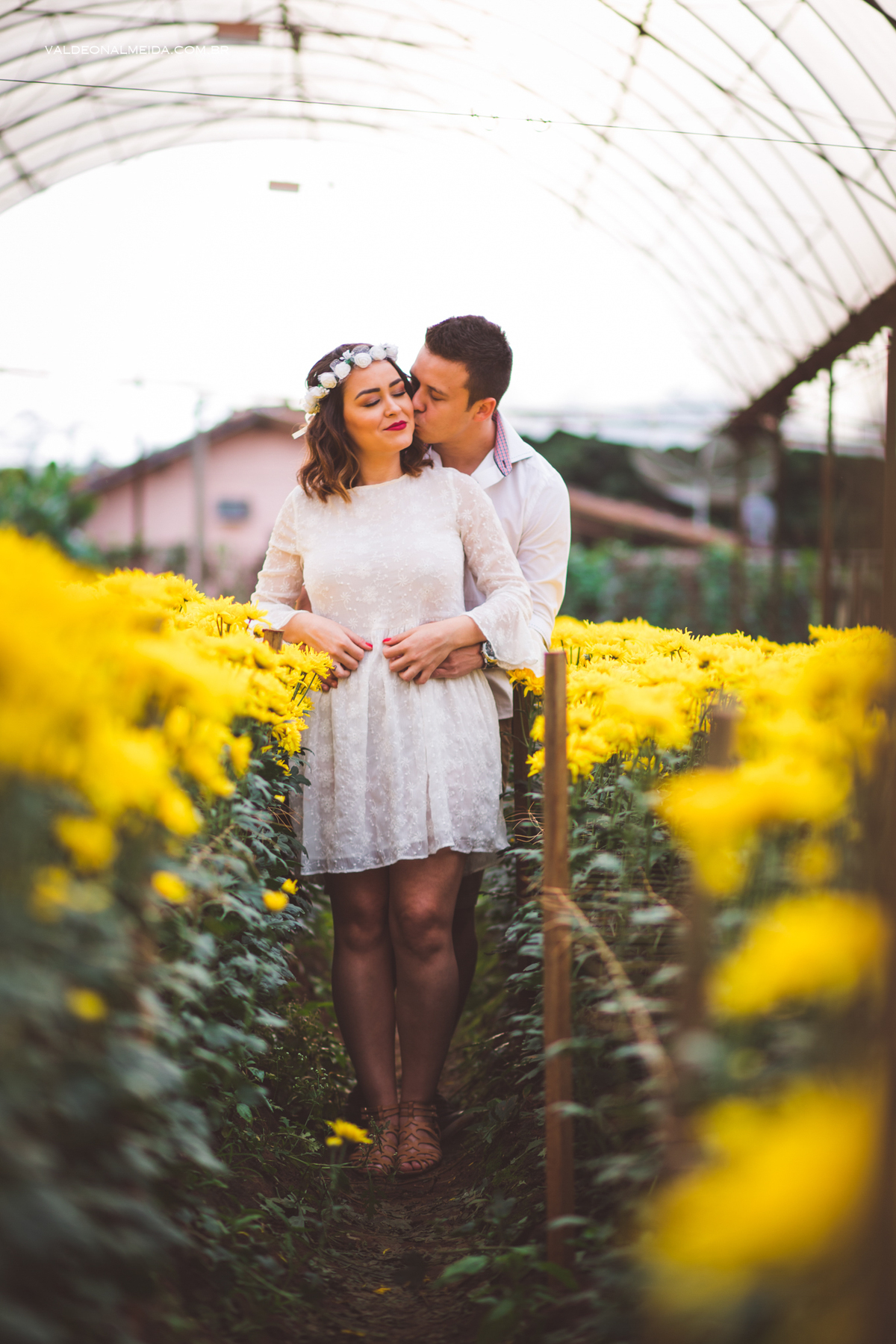 Ensaio Pre Wedding Estela e José em Holambra