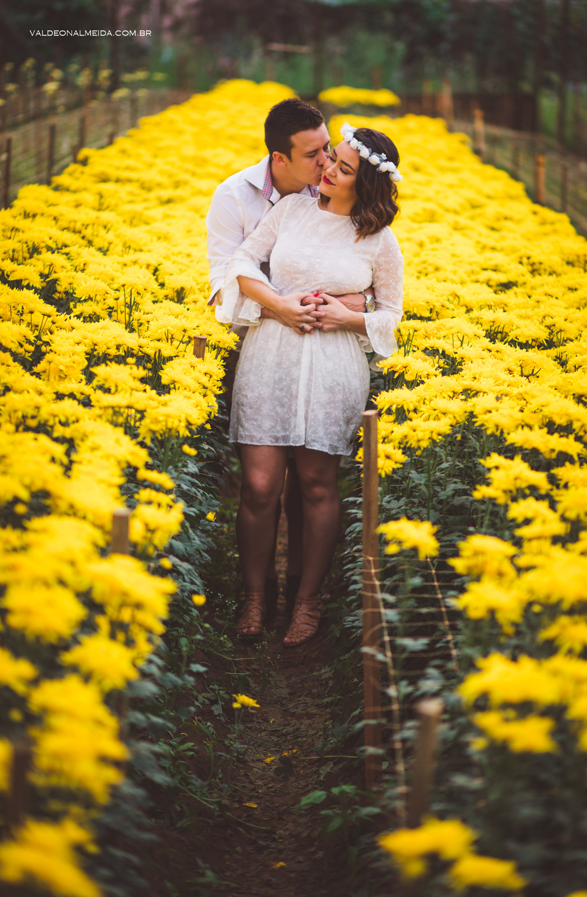 Ensaio Pre Wedding Estela e José em Holambra