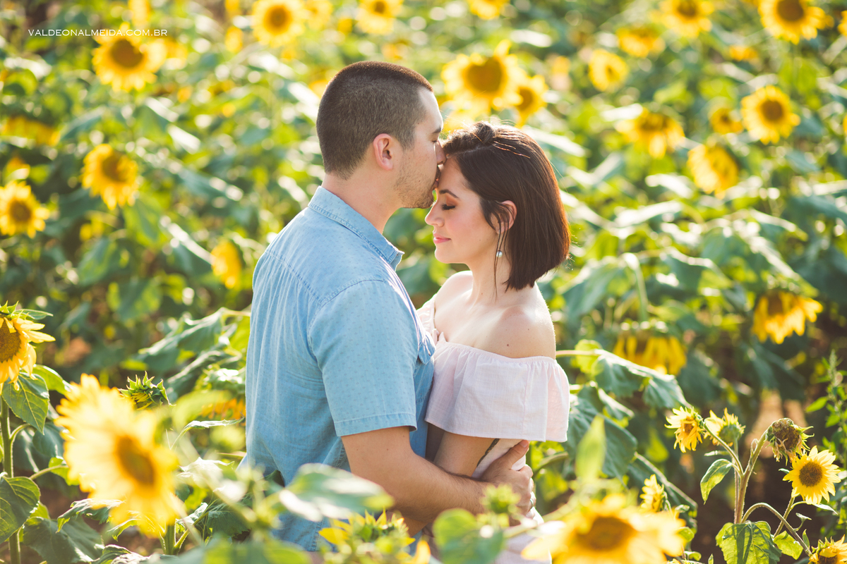 Pedido de casamento surpresa - Yo e Mayara em Holambra
