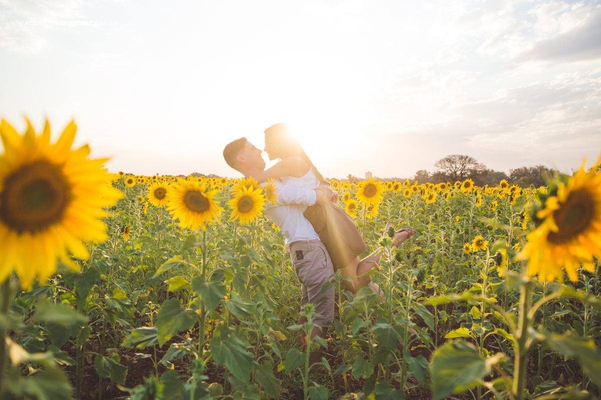 Pedido de casamento surpresa emocionante em Holambra