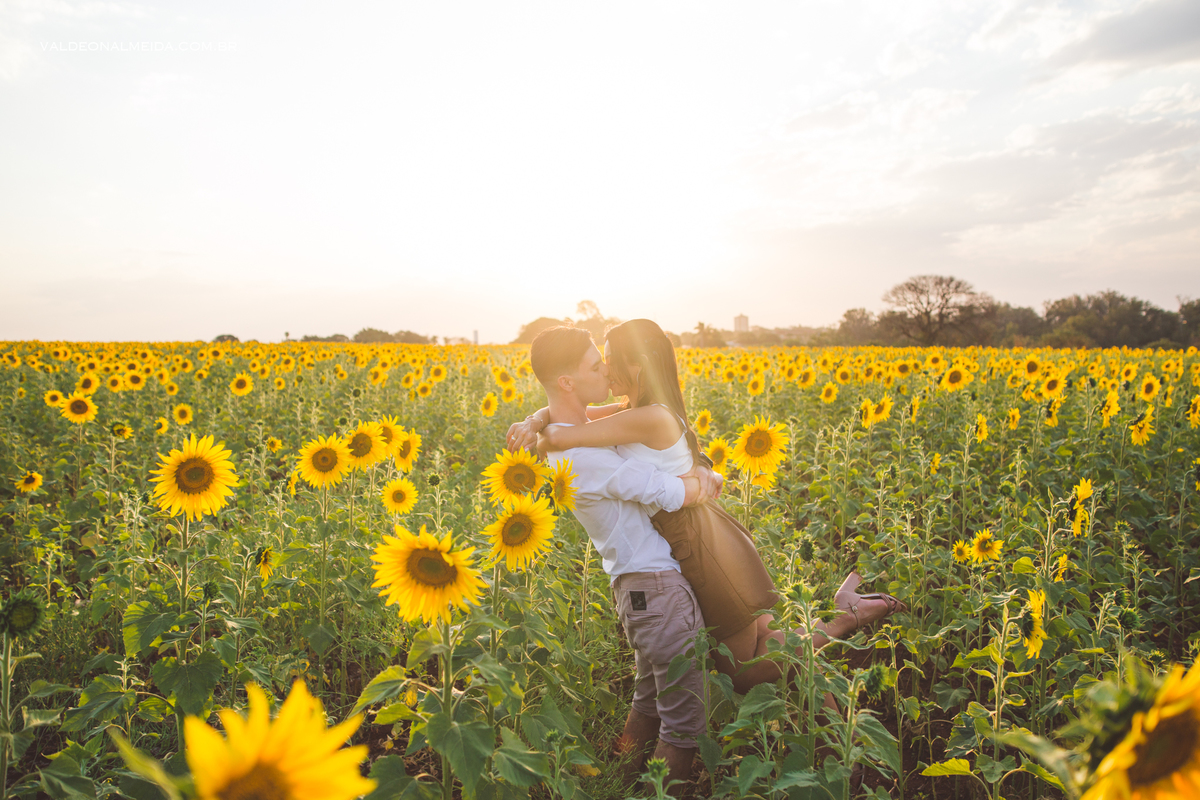 Pedido de casamento surpresa emocionante em Holambra