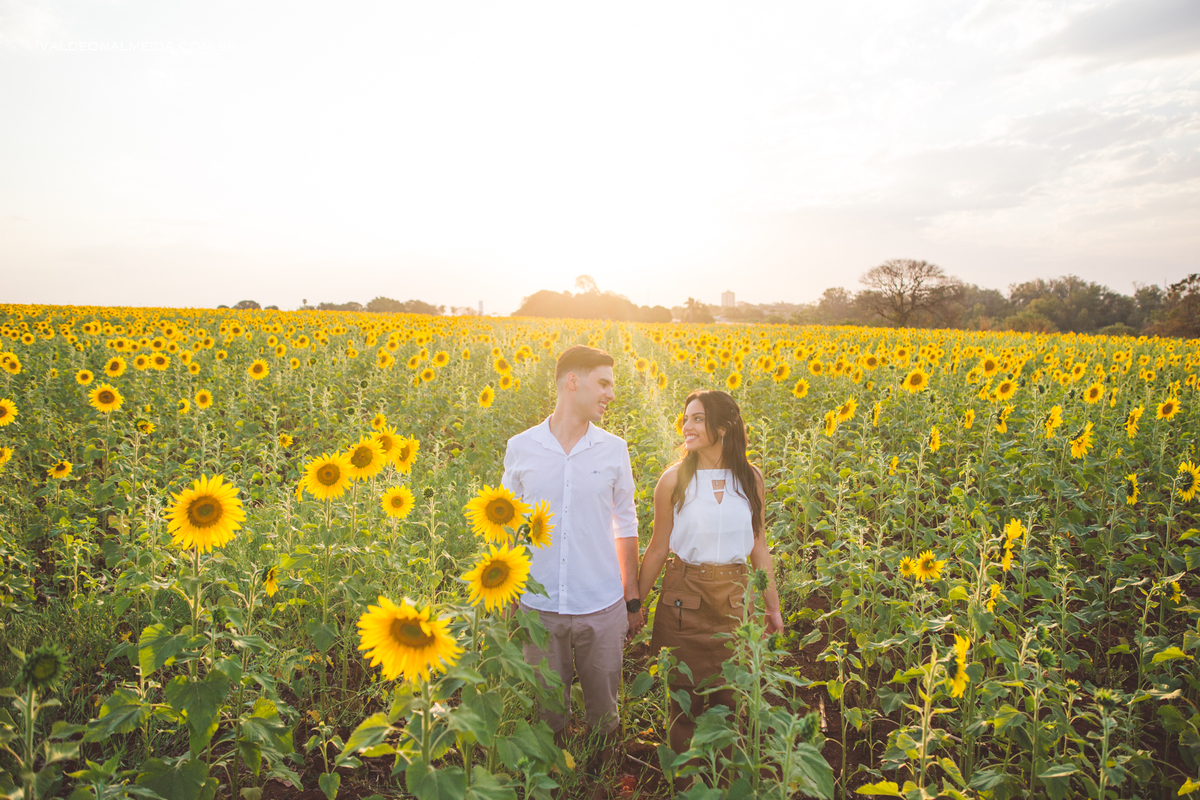 Pedido de casamento surpresa emocionante em Holambra