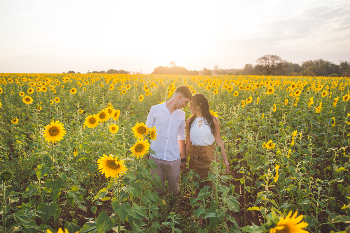 Pedido de casamento surpresa emocionante em Holambra