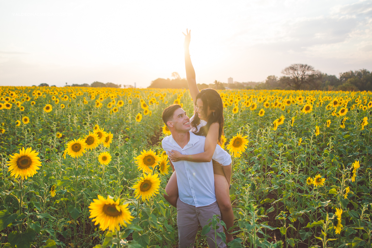 Pedido de casamento surpresa emocionante em Holambra