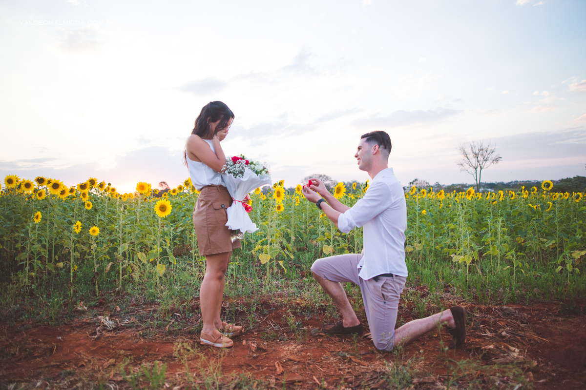 Pedido de casamento surpresa emocionante em Holambra