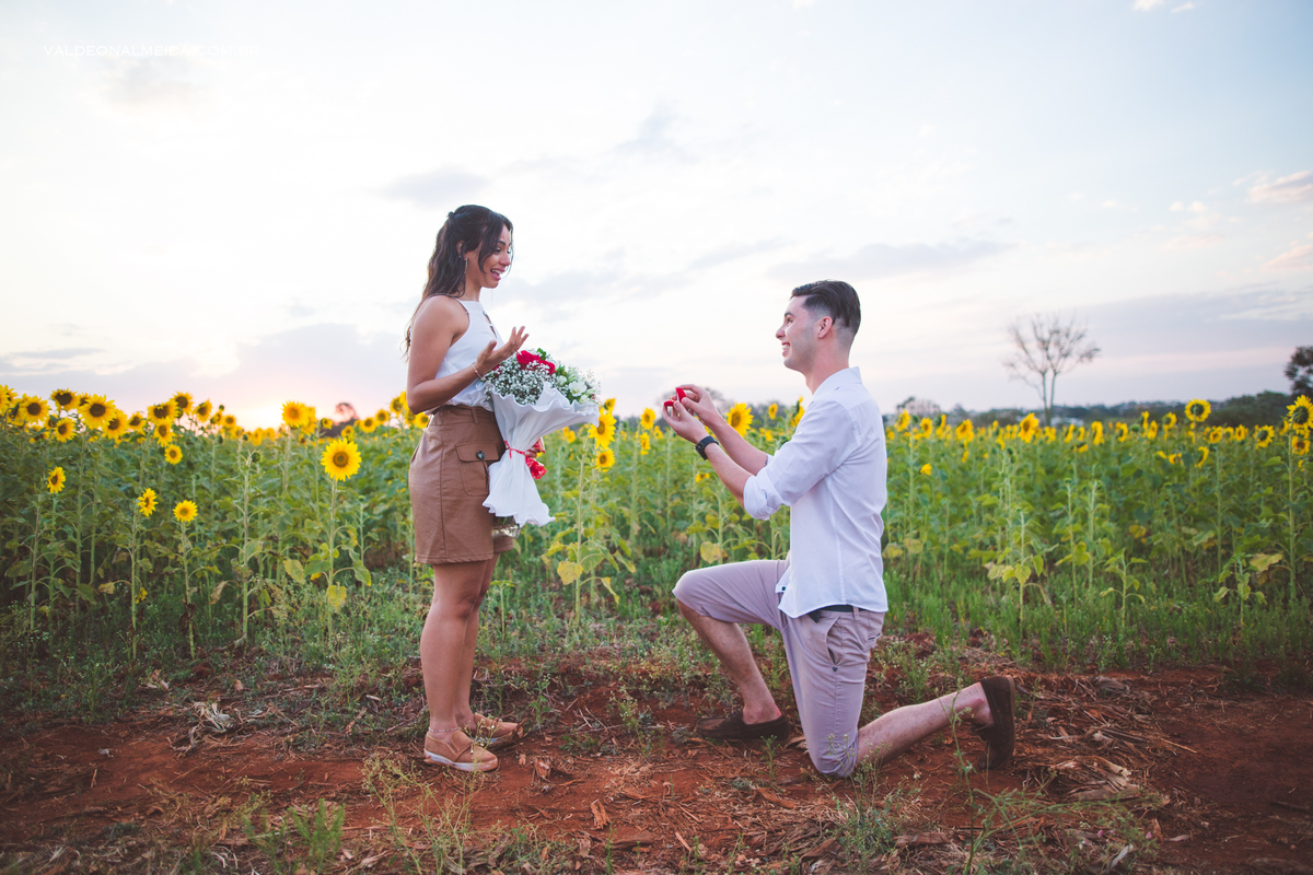 Pedido de casamento surpresa emocionante em Holambra