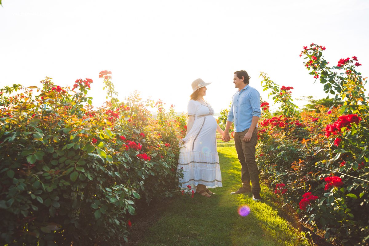 Ensaio de gestante em Holambra - A espera pelo Alvaro