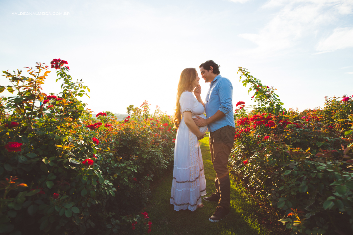 Ensaio de gestante em Holambra - A espera pelo Alvaro