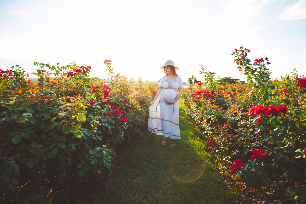 Ensaio de gestante em Holambra - A espera pelo Alvaro