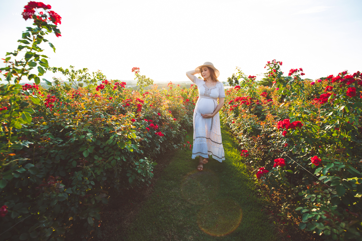 Ensaio de gestante em Holambra - A espera pelo Alvaro