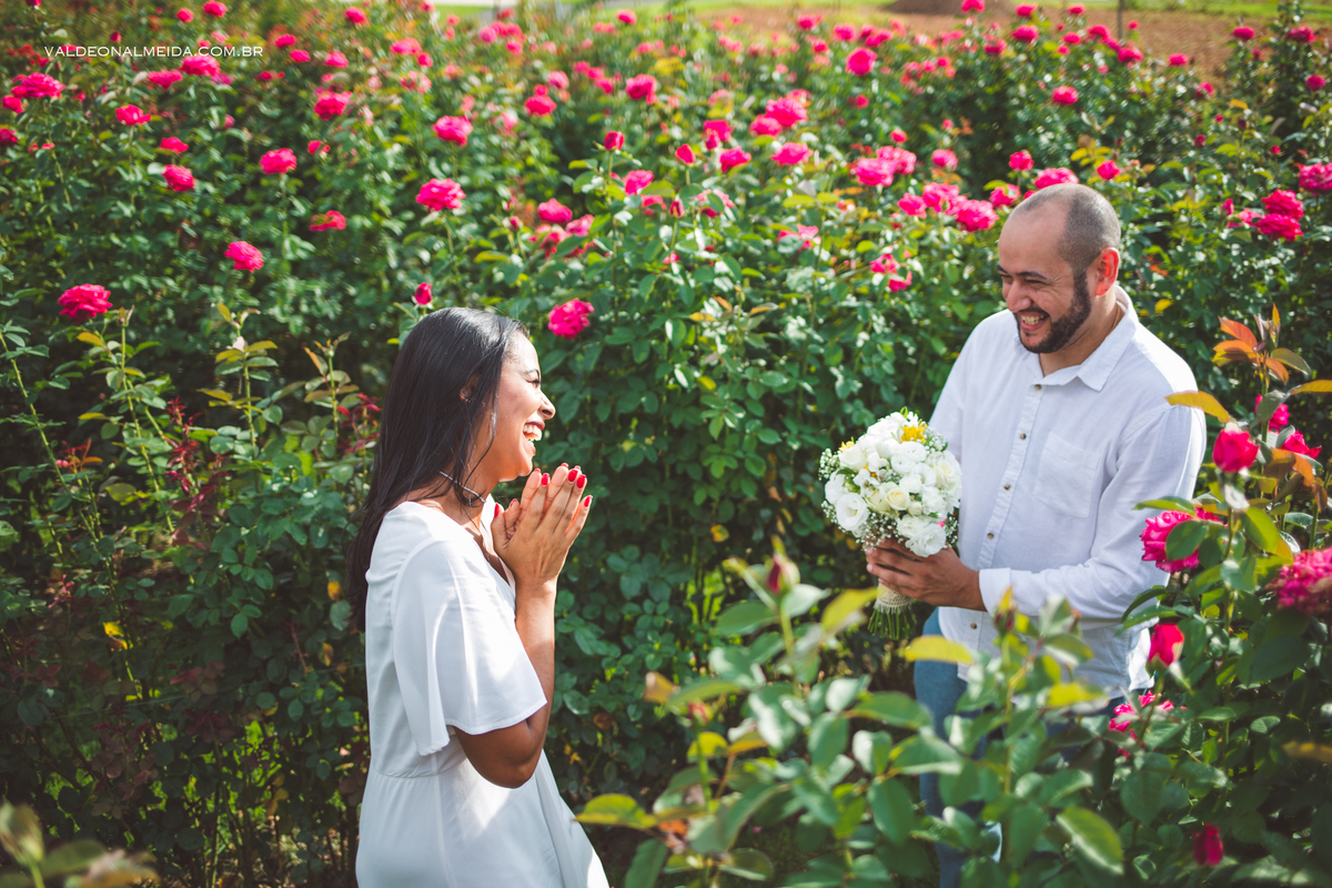 Pedido de casamento surpresa em Holambra