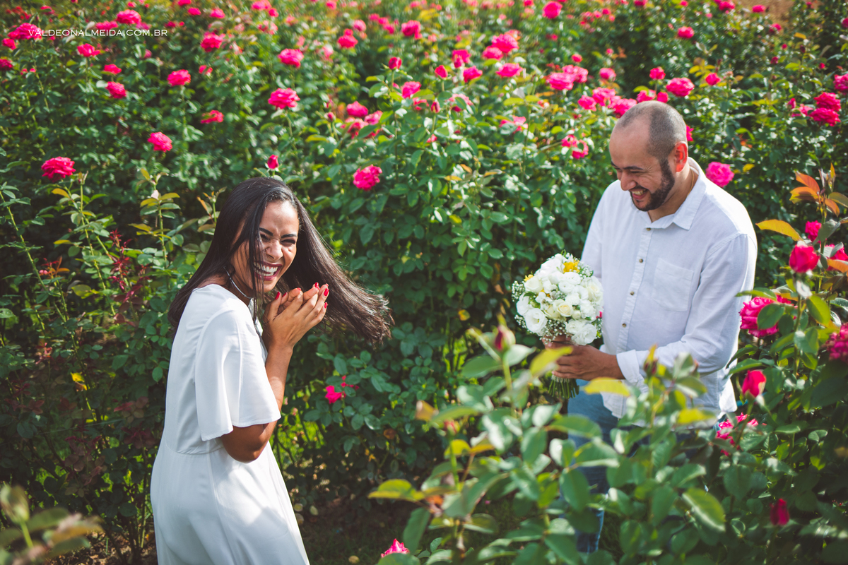 Pedido de casamento surpresa em Holambra