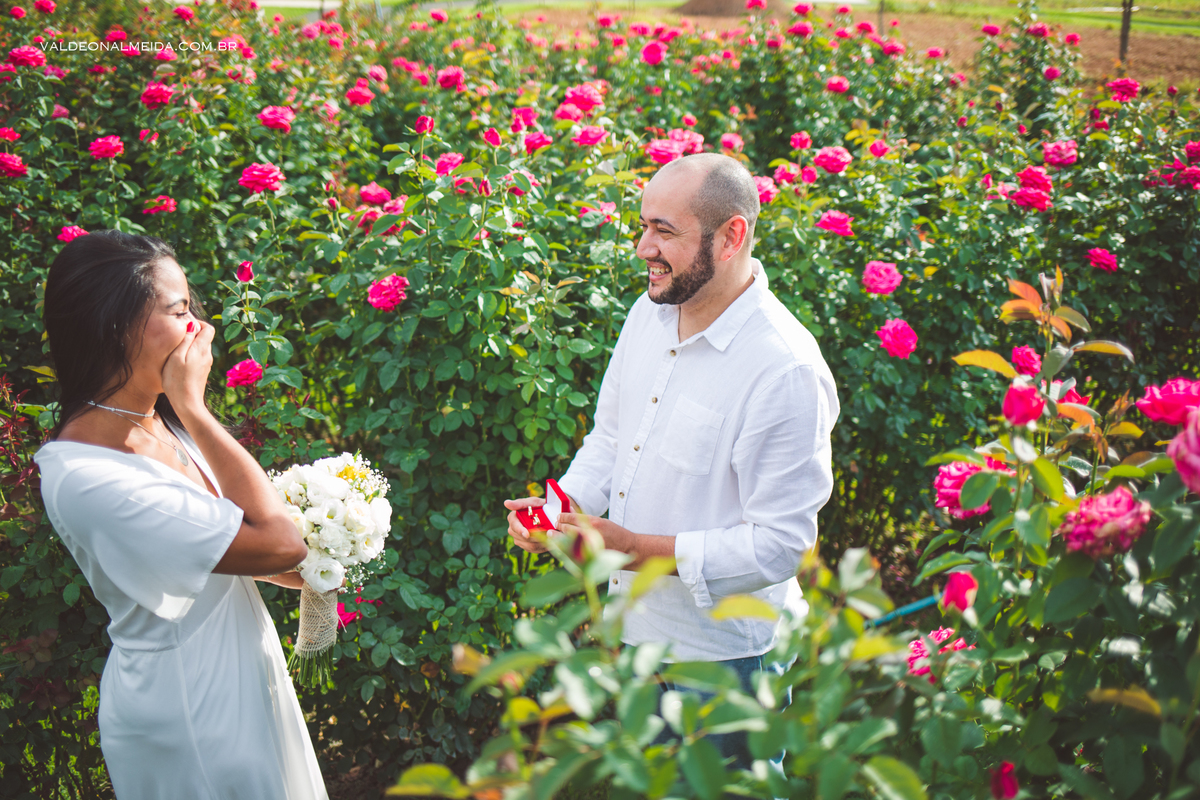 Pedido de casamento surpresa em Holambra