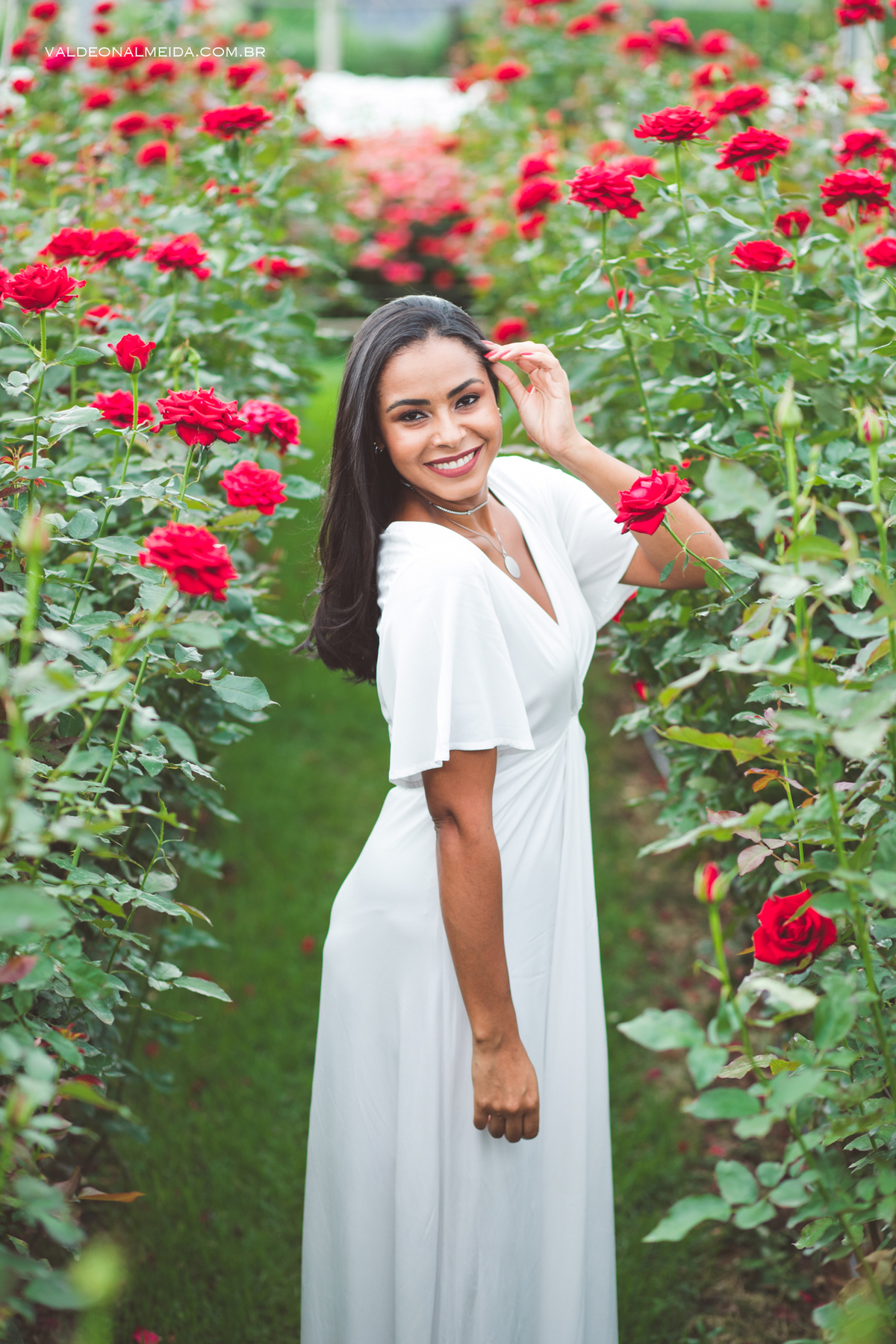 Pedido de casamento surpresa em Holambra