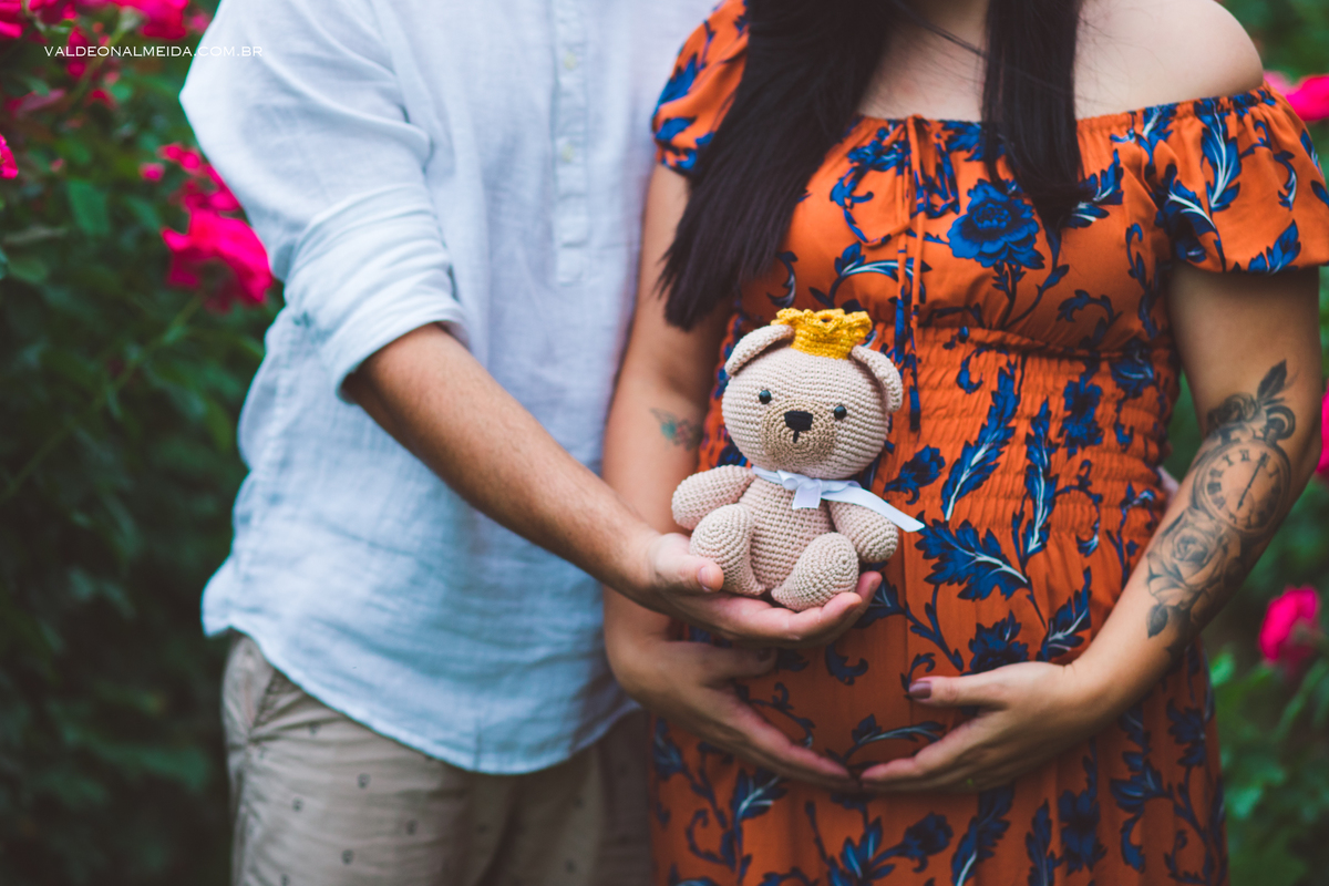 Ensaio de gestante em Holambra - A espera pelo Felipe