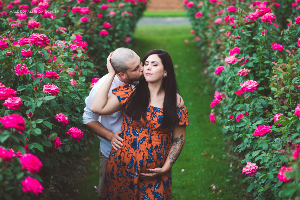 Ensaio de gestante em Holambra - A espera pelo Felipe