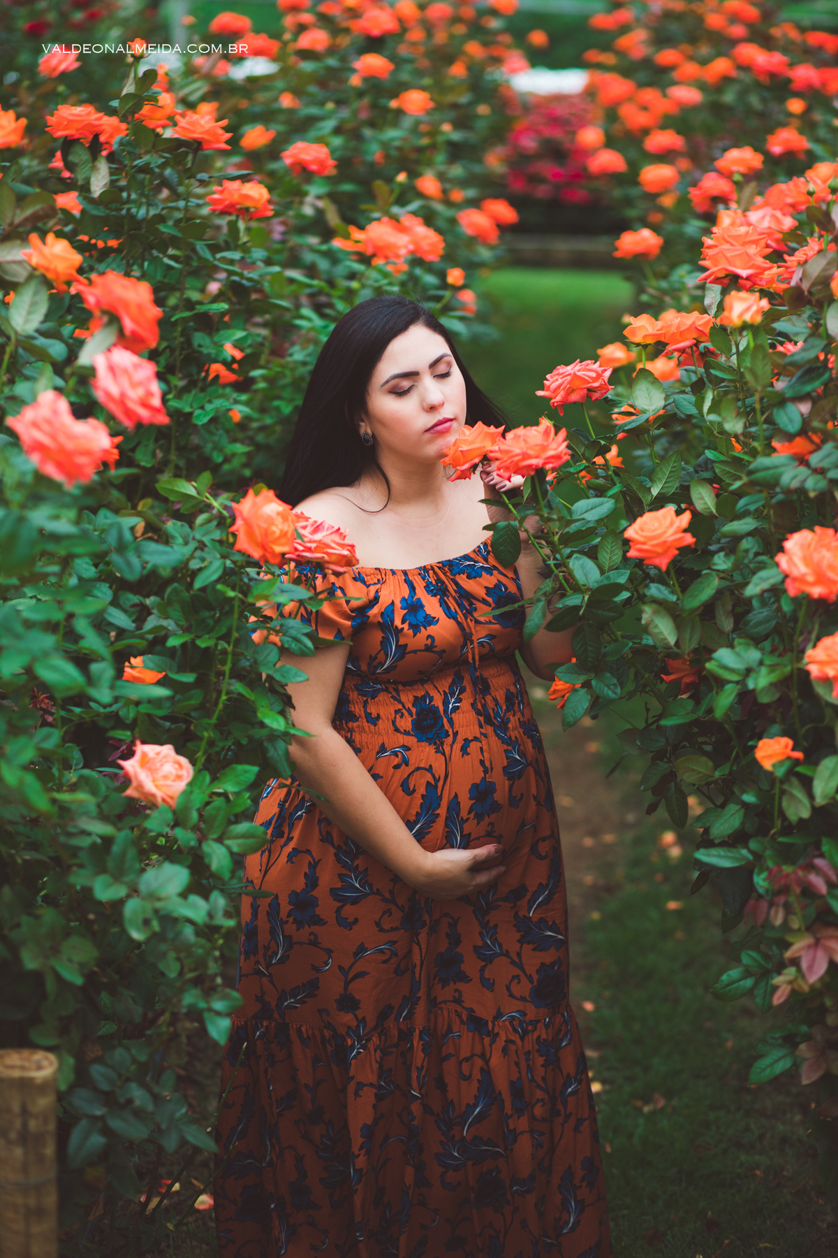 Ensaio de gestante em Holambra - A espera pelo Felipe