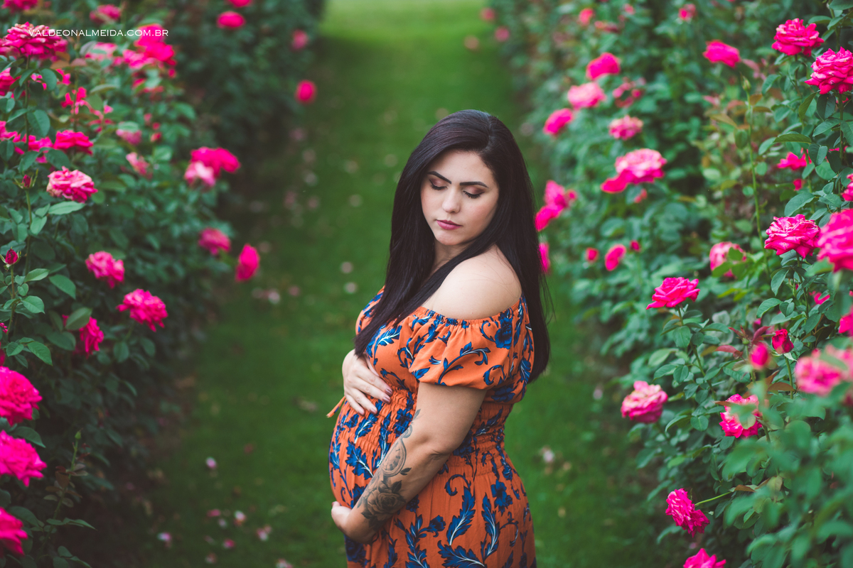 Ensaio de gestante em Holambra - A espera pelo Felipe