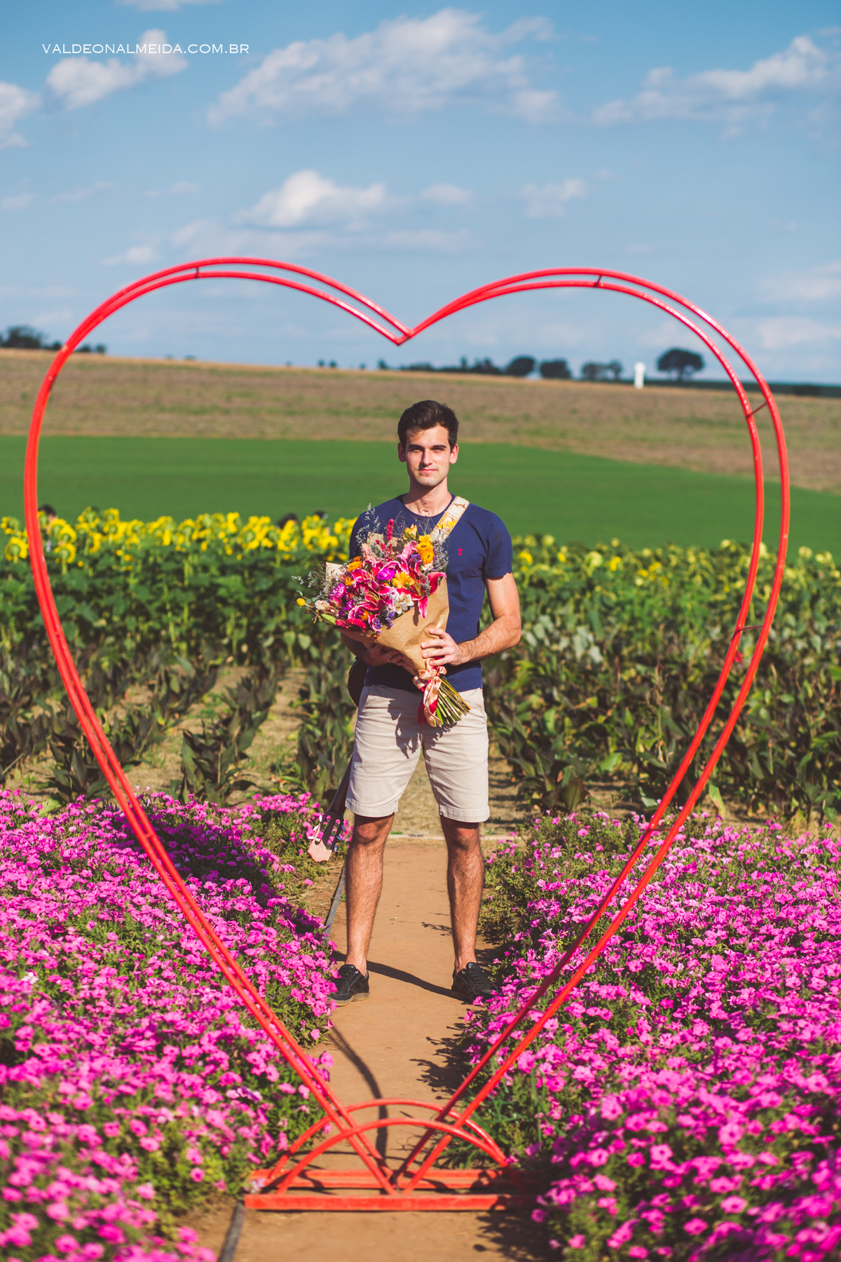 Pedido de casamento surpresa criativo em Holambra