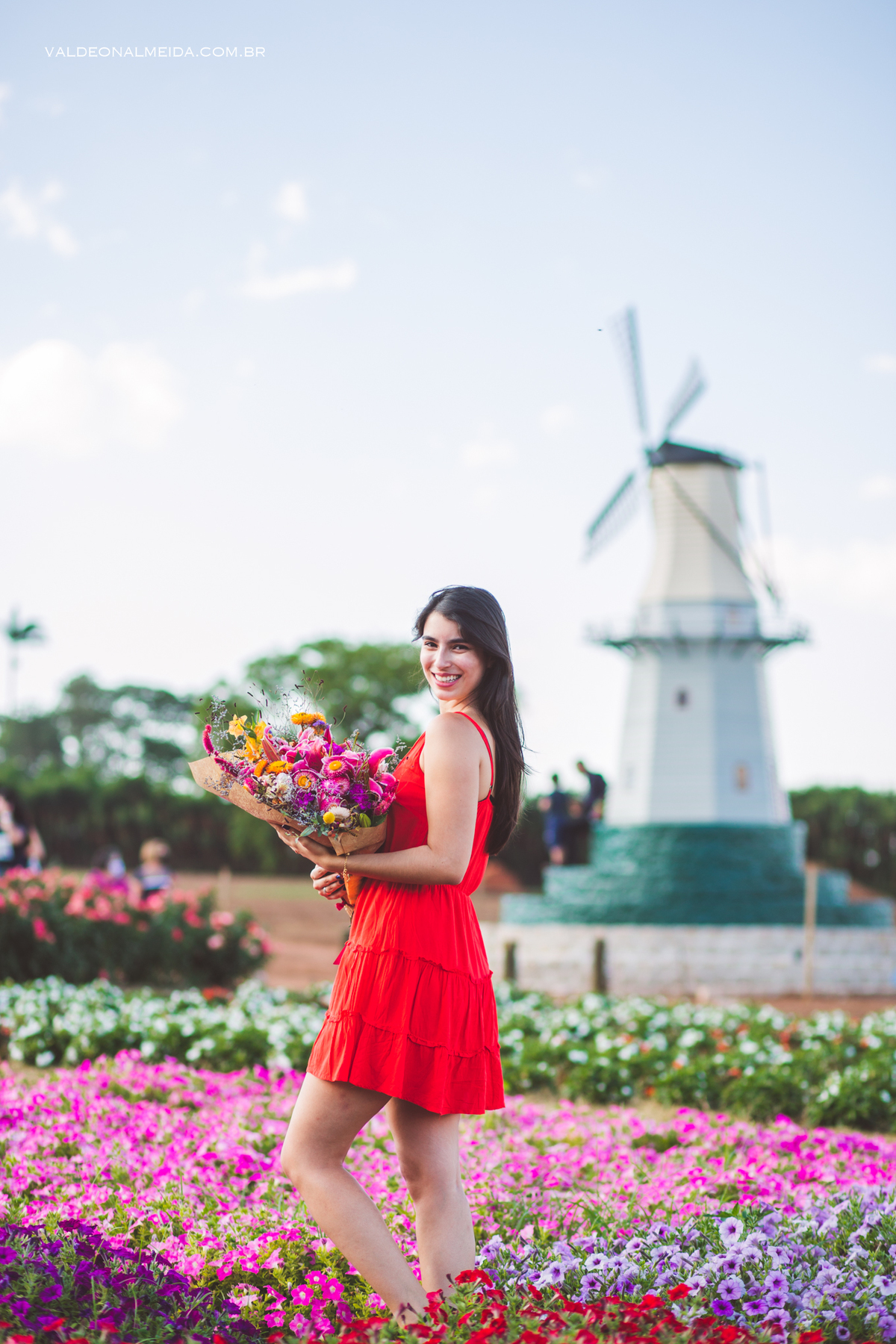 Pedido de casamento surpresa criativo em Holambra