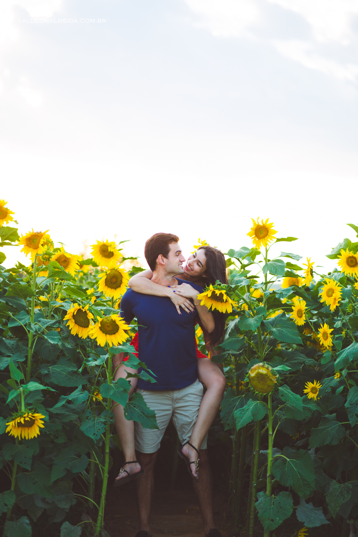 Pedido de casamento surpresa criativo em Holambra