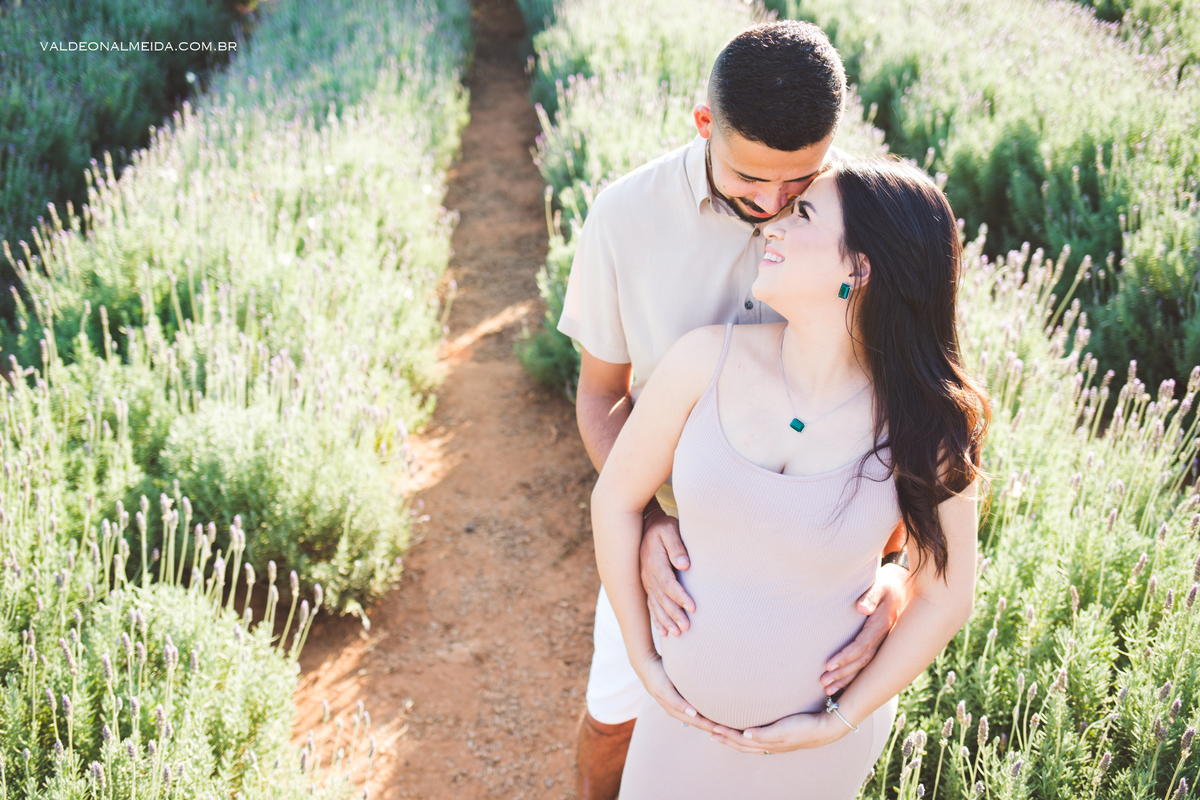 Ensaio de gestante em Holambra - Lavanda