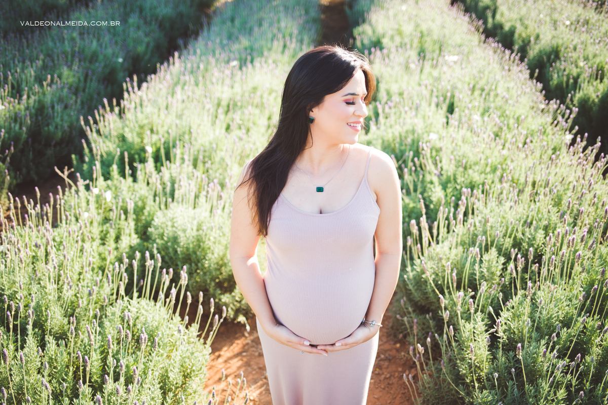 Ensaio de gestante em Holambra -Lavanda