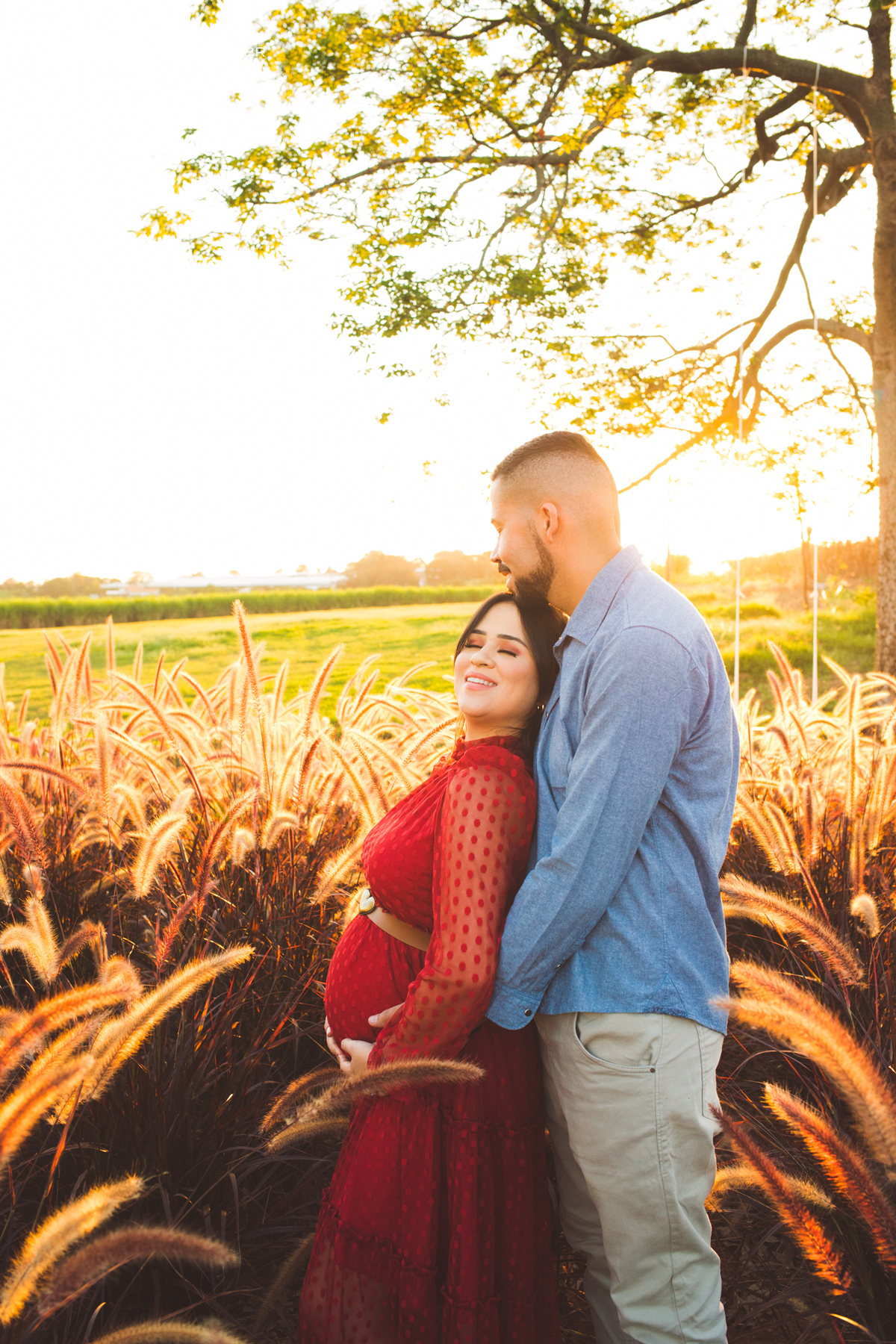 Ensaio de gestante em Holambra no por do sol