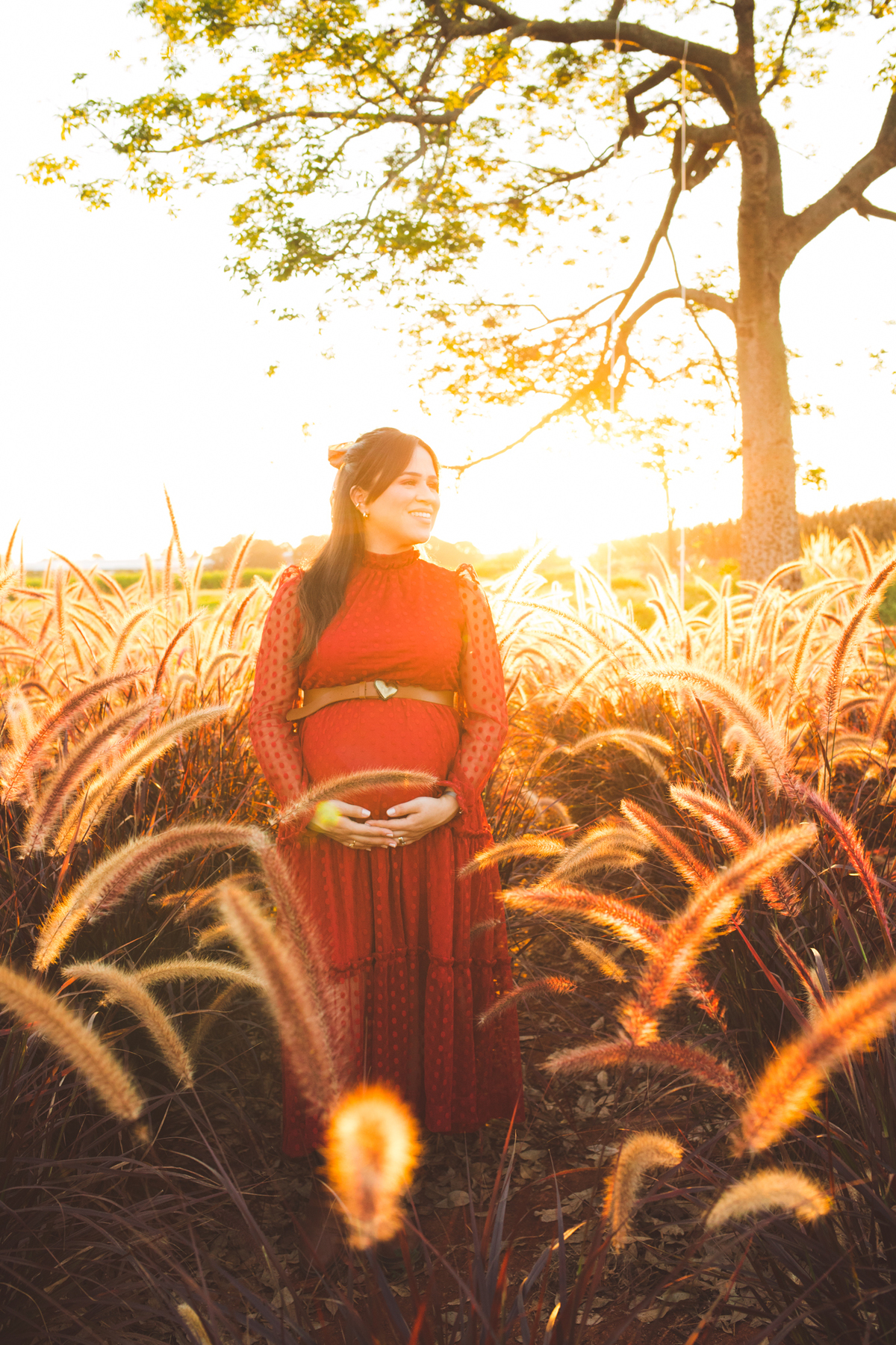 Ensaio de gestante em Holambra no por do sol