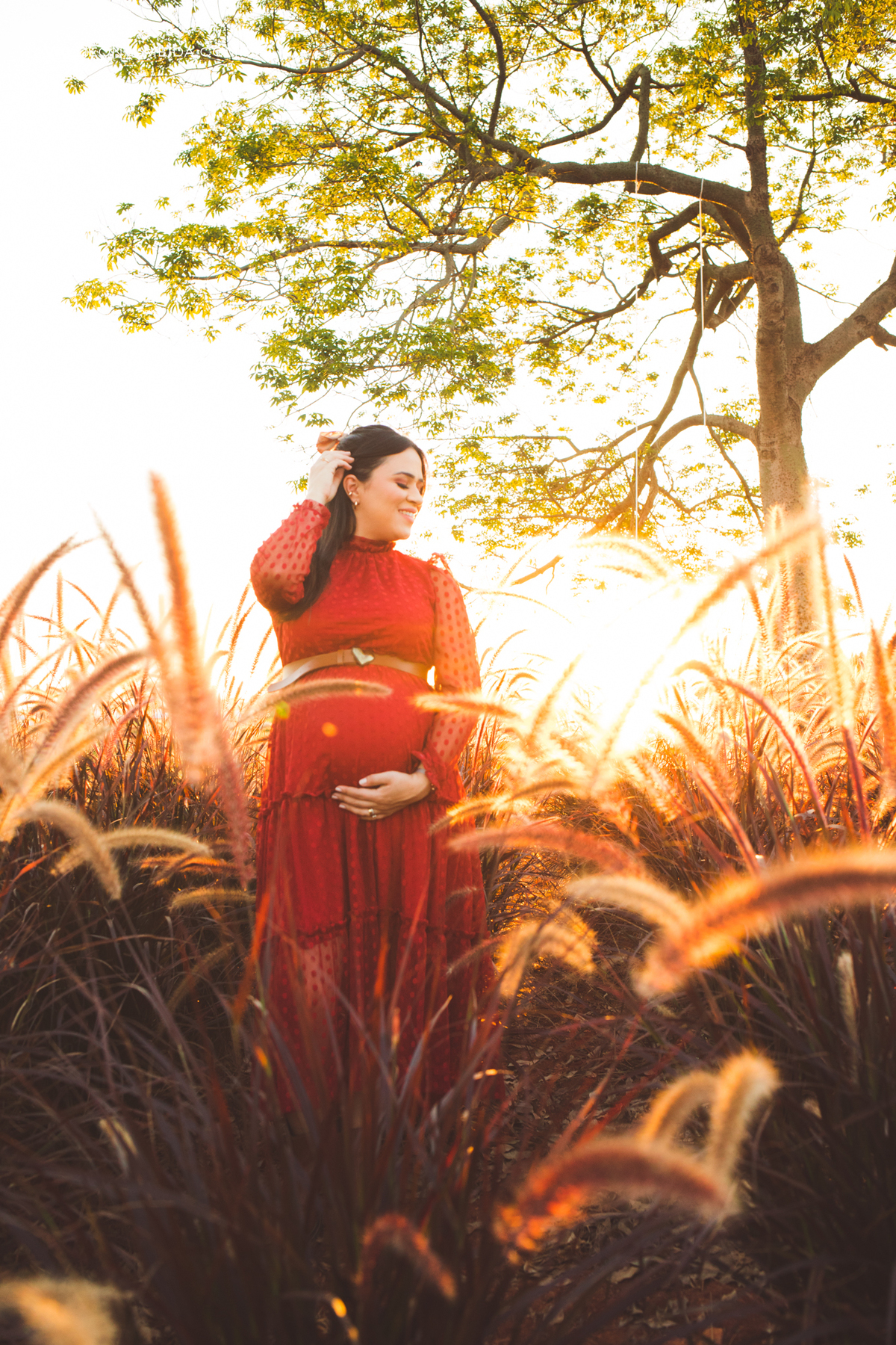 Ensaio de gestante em Holambra no por do sol