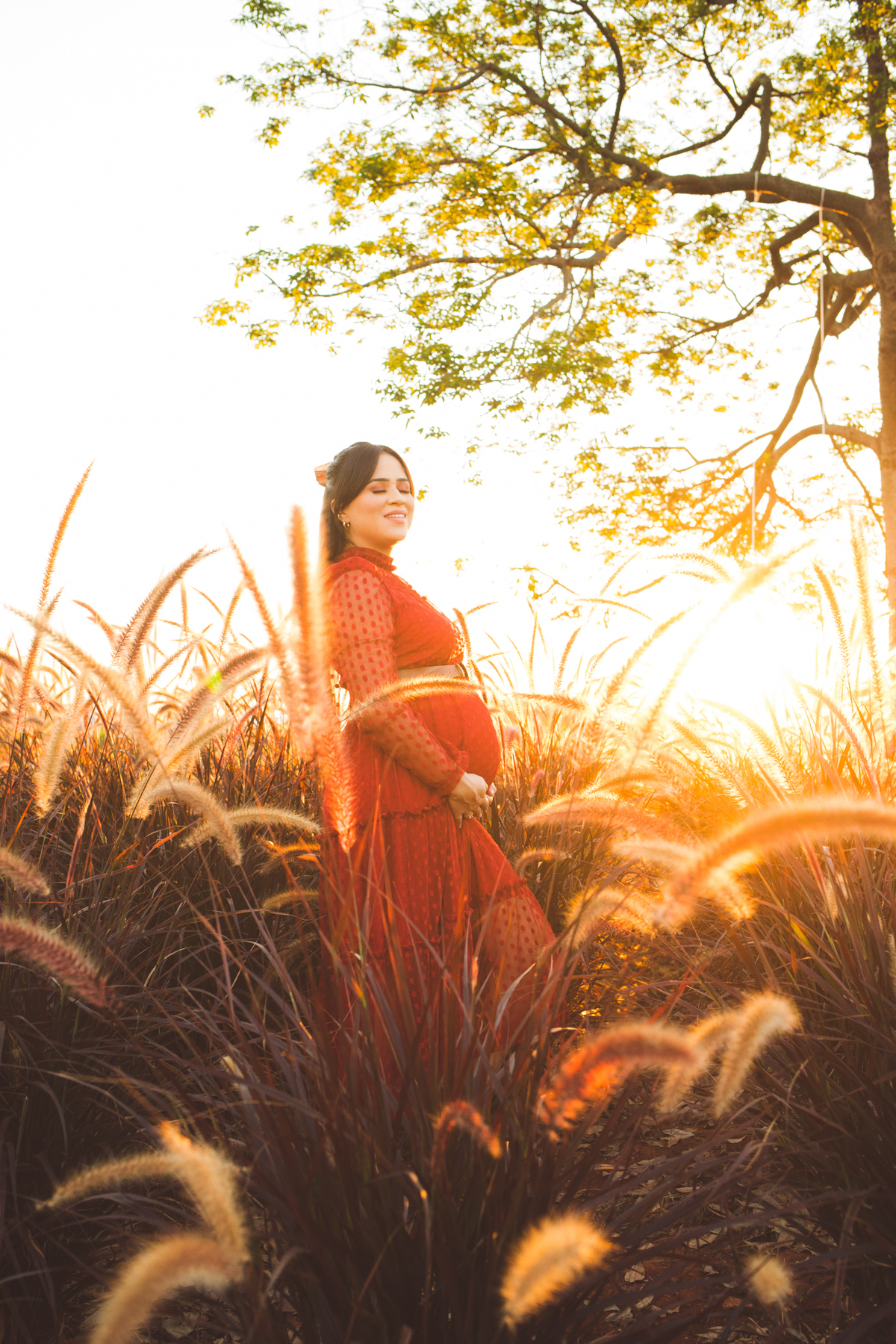 Ensaio de gestante em Holambra no por do sol