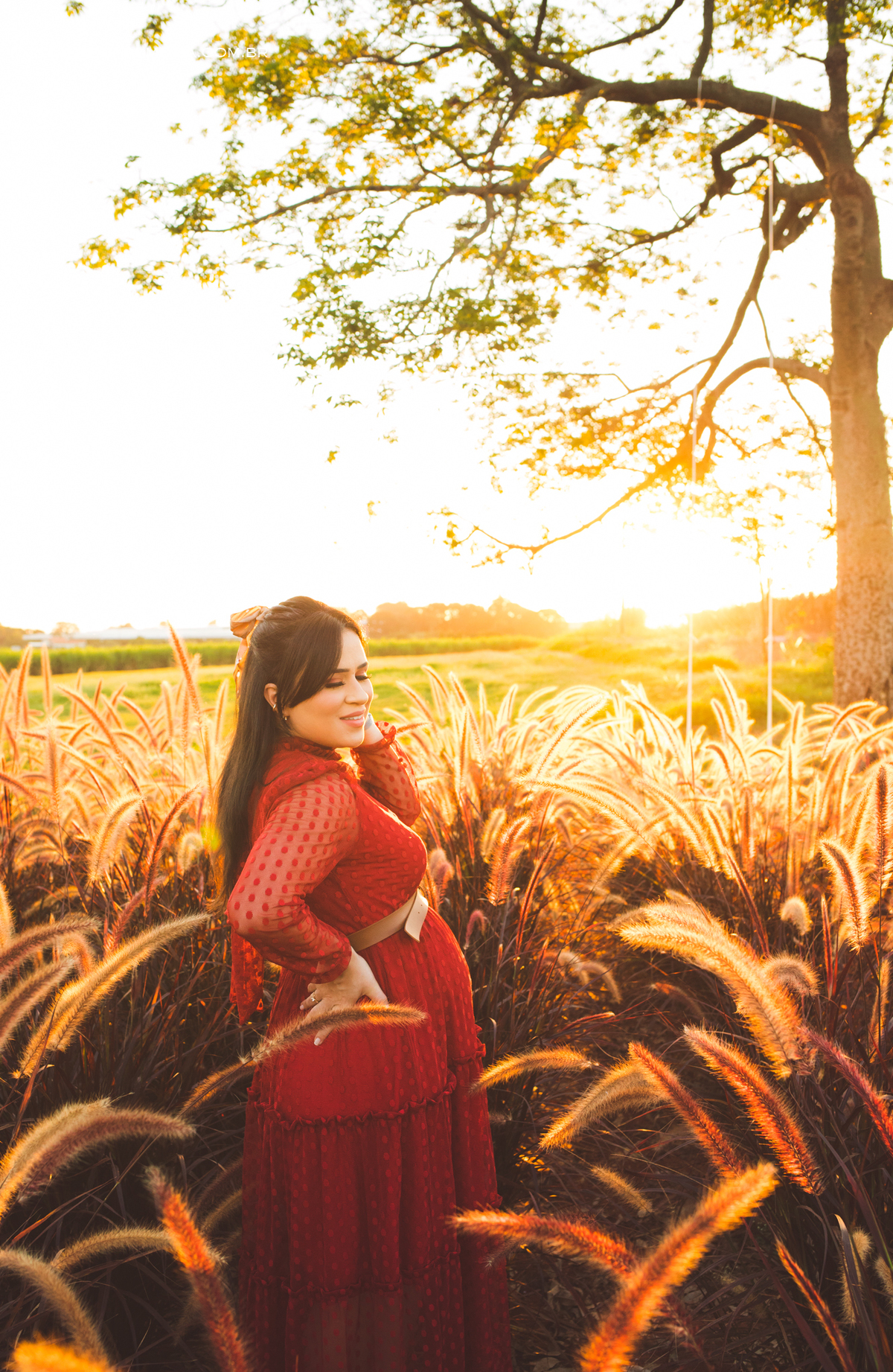 Ensaio de gestante em Holambra no por do sol