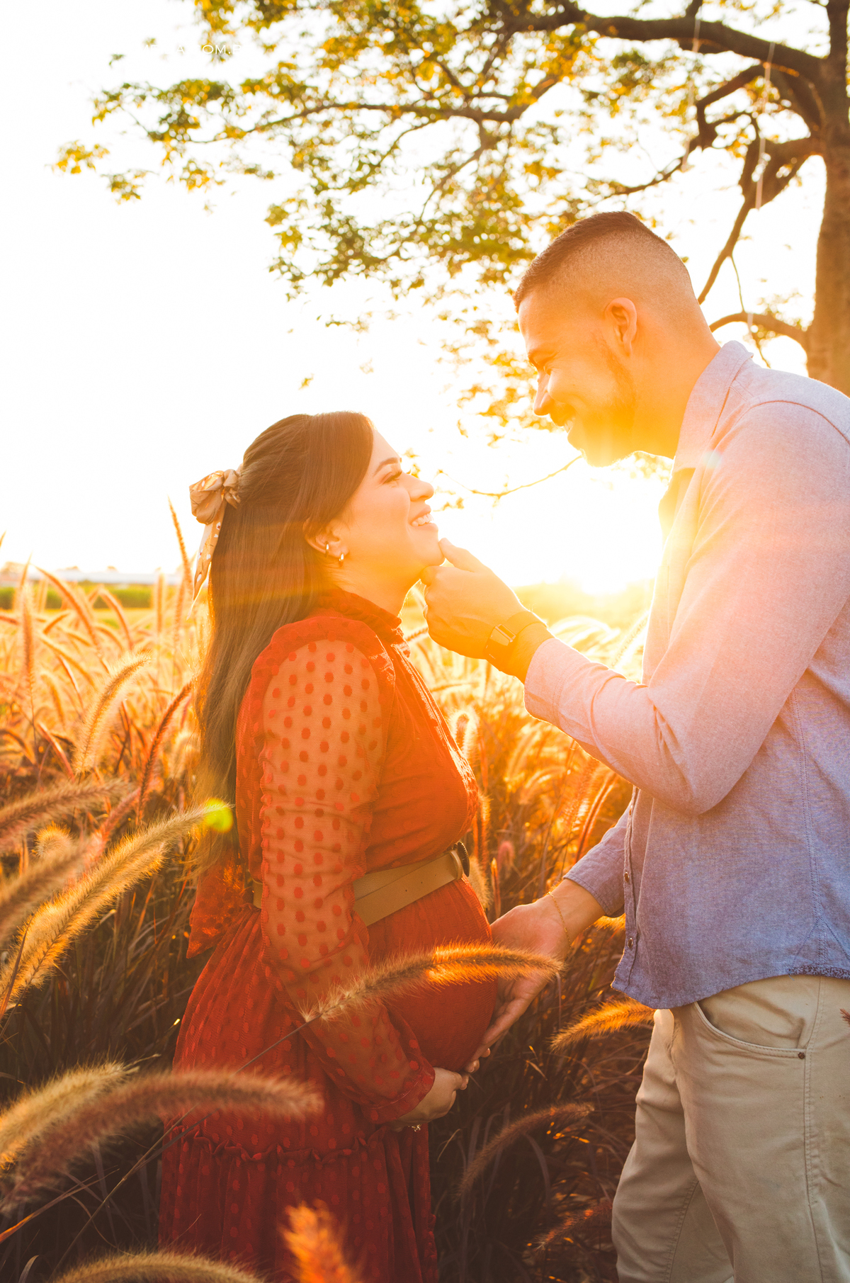 Ensaio de gestante em Holambra no por do sol