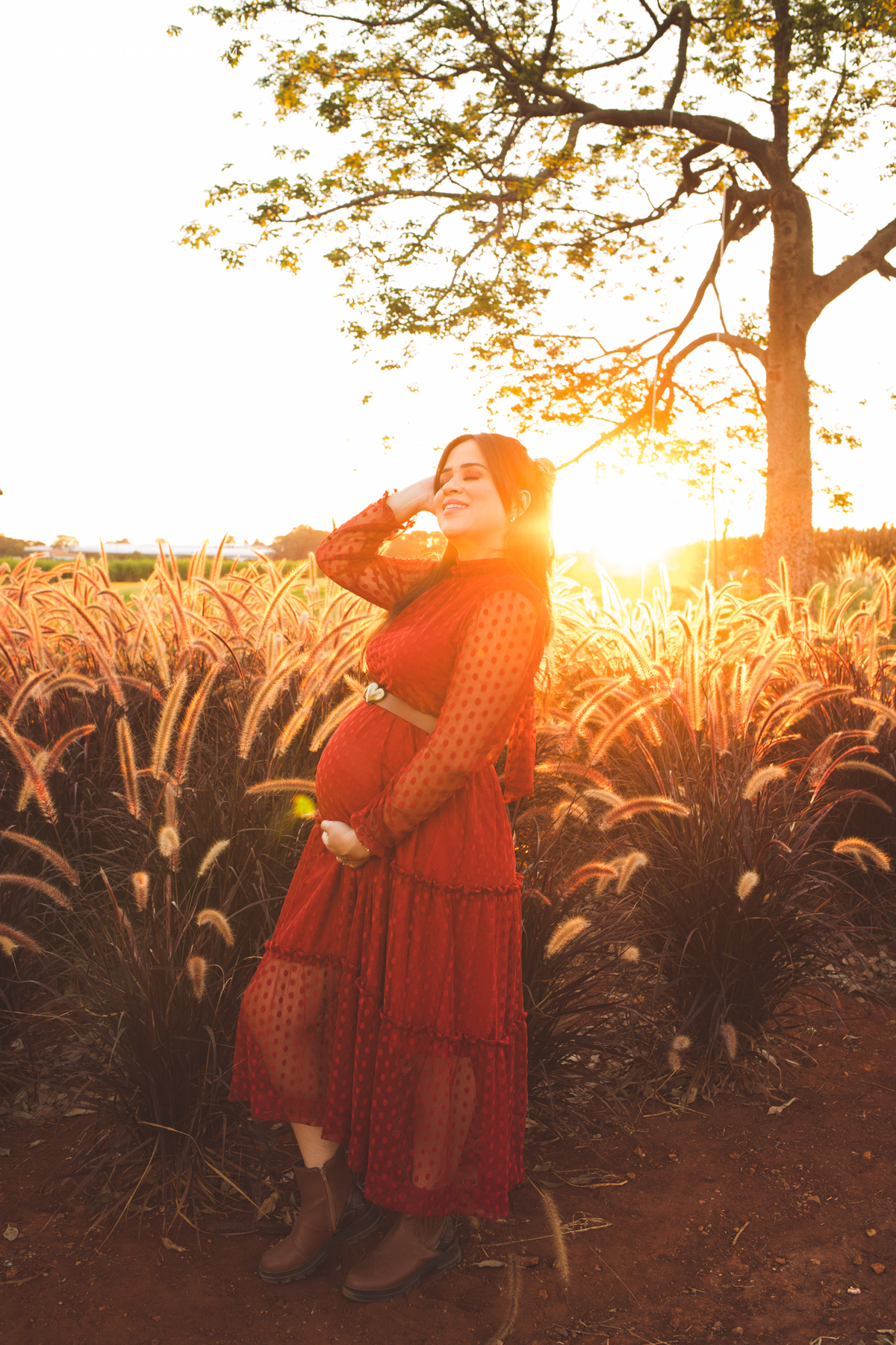 Ensaio de gestante em Holambra no por do sol